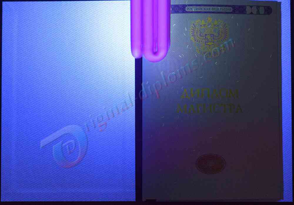 Диплом магистра 2014-2026